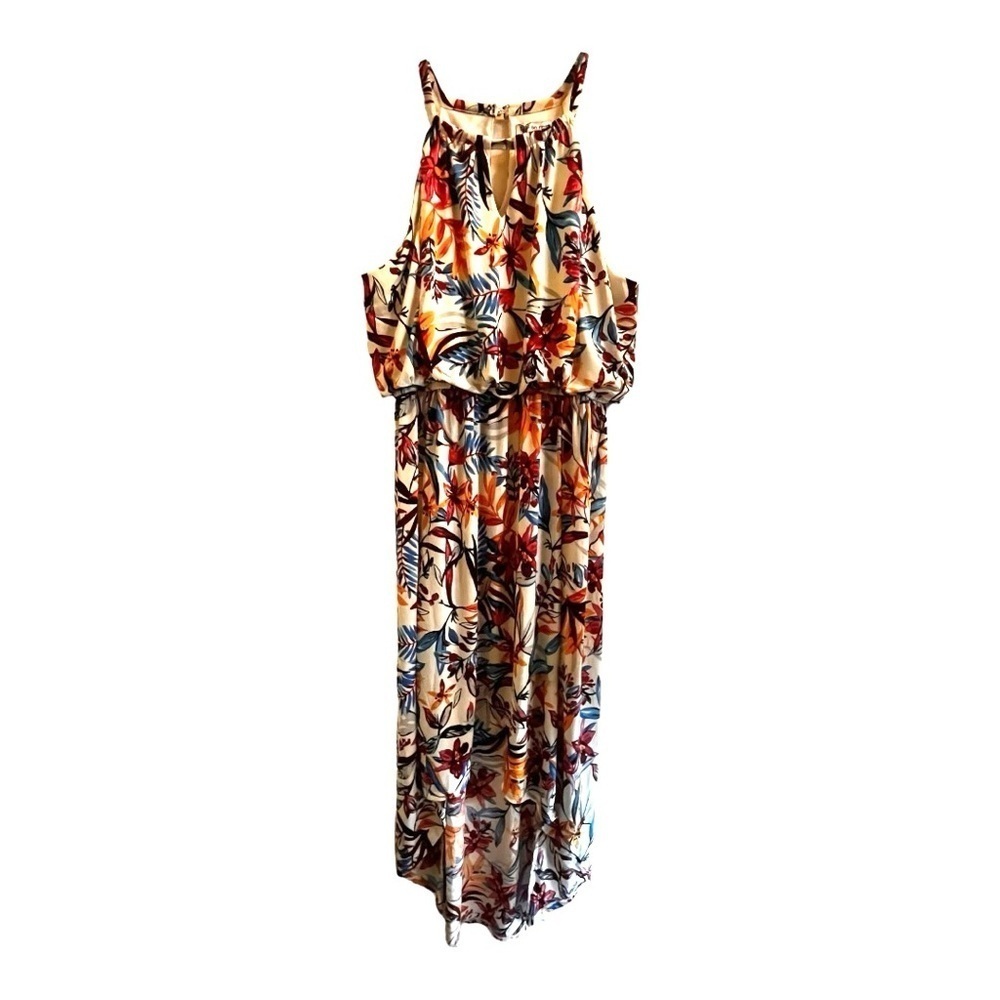 Maxi dress high low hem empire waist button back neck multi botanical print XL